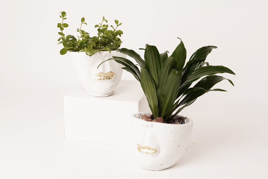 Face  abstract planter | white