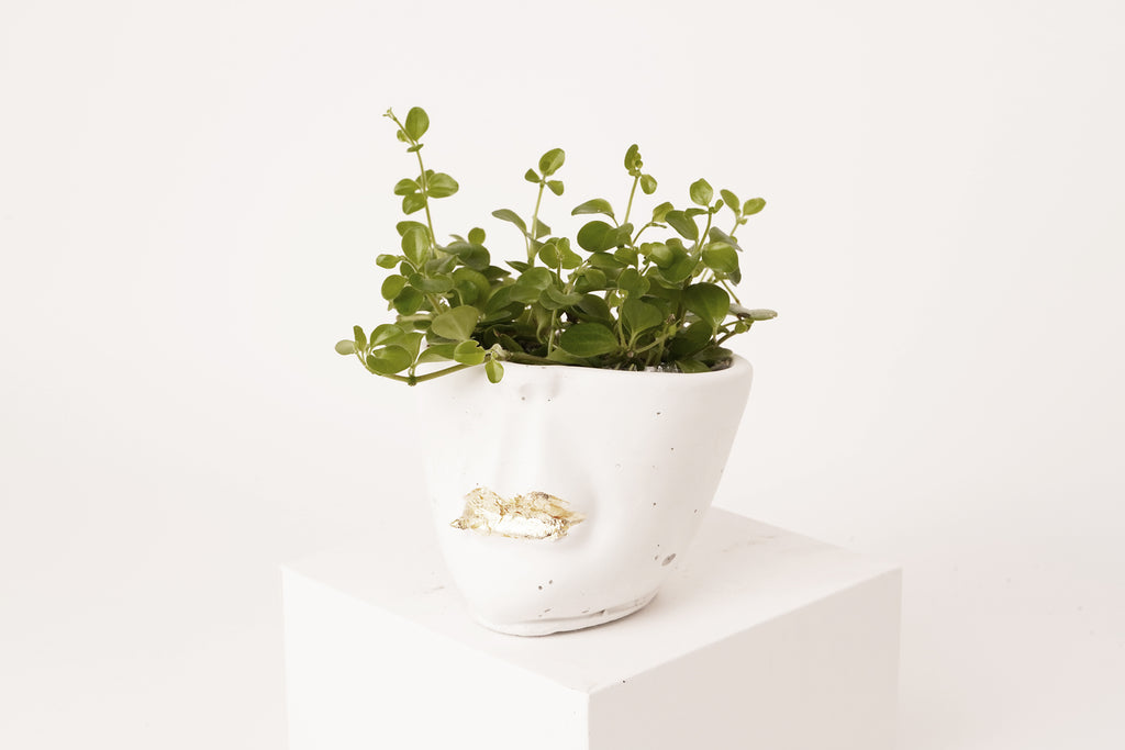Face  abstract planter | white