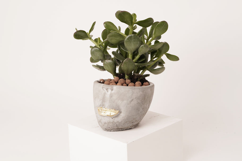 Face  abstract planter | gray