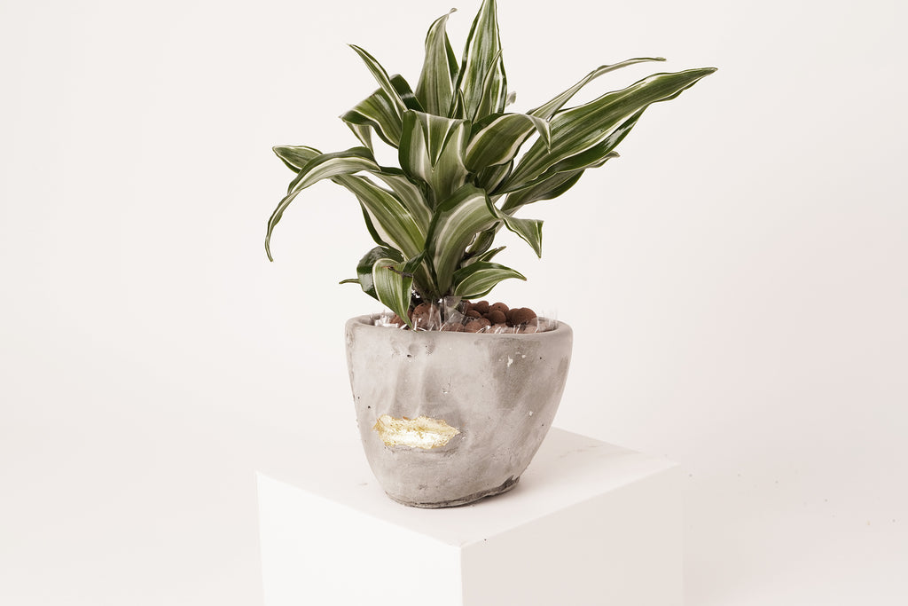 Face  abstract planter | gray