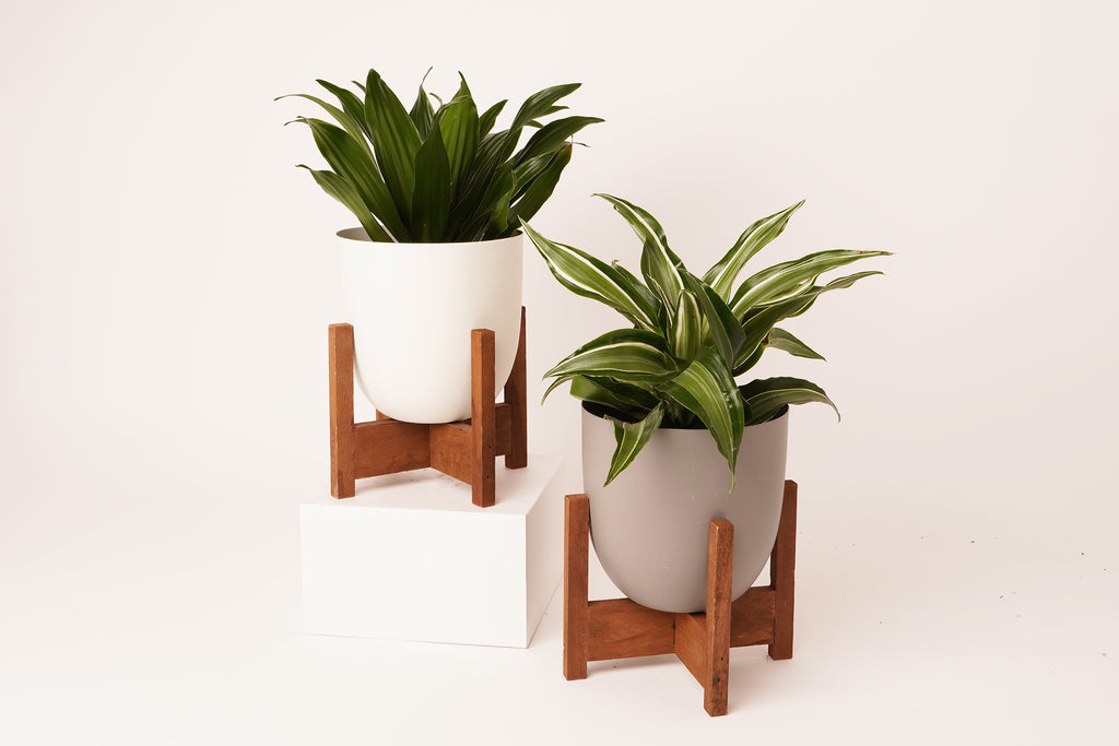 wood base planter
