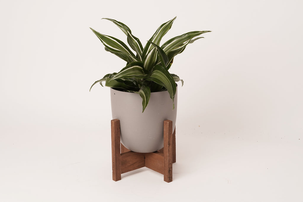 wood base planter