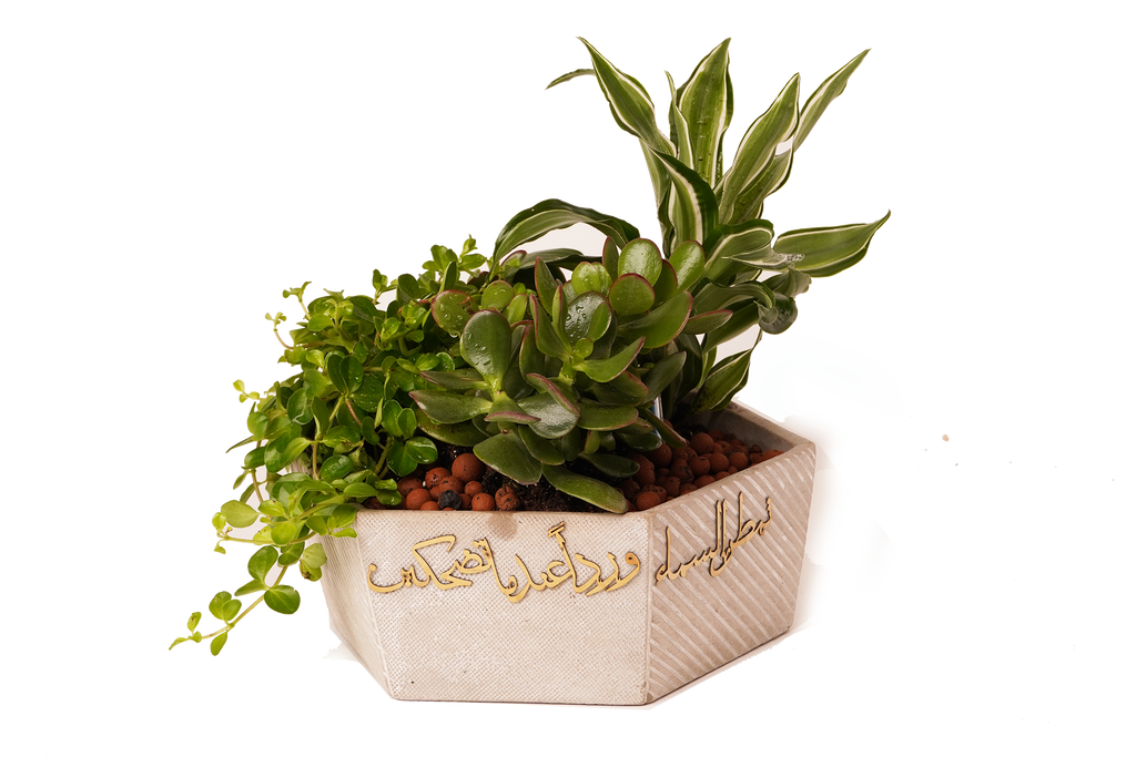 LARGE concrete planter تمطر السماء ورداً عندما تضحكين