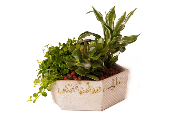 LARGE concrete planter تمطر السماء ورداً عندما تضحكين