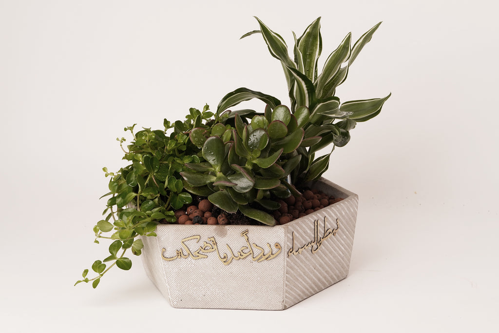 LARGE concrete planter تمطر السماء ورداً عندما تضحكين