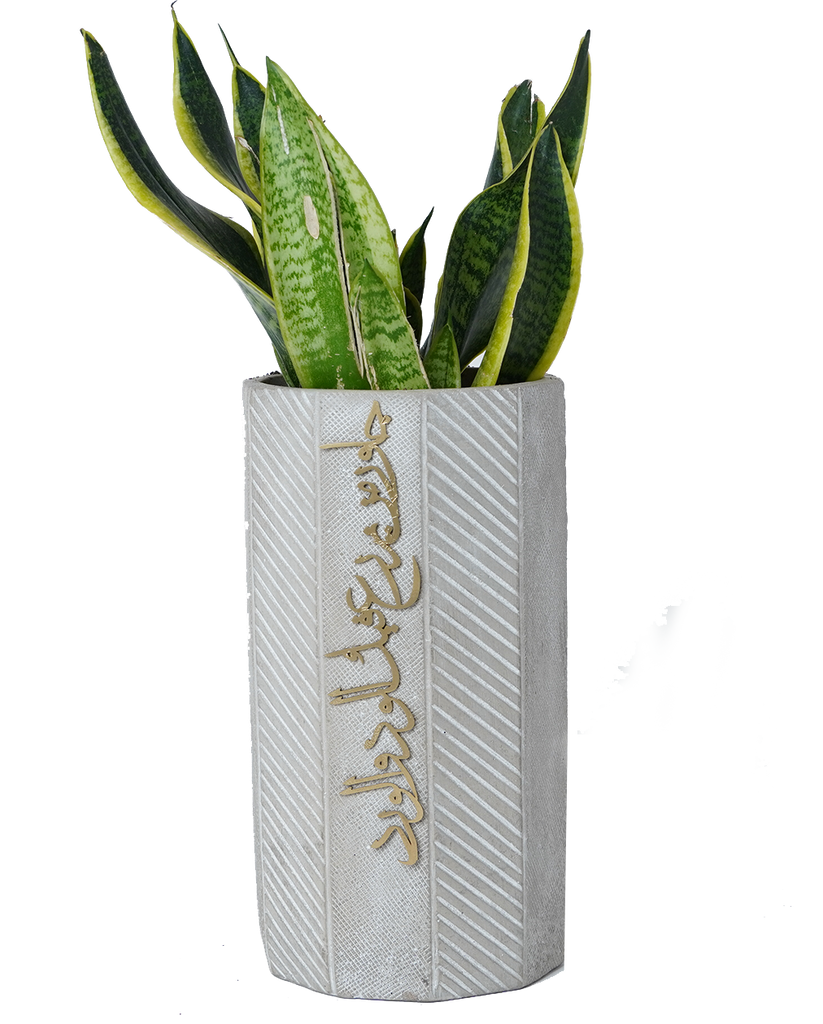 concrete planter جاور من يزرع فيك الود و الورد -long