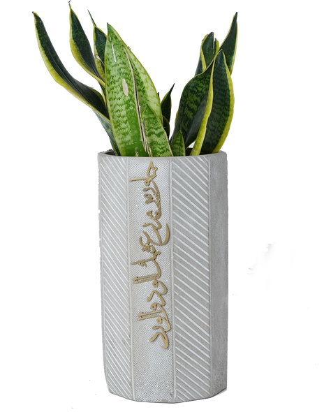 concrete planter جاور من يزرع فيك الود و الورد -long