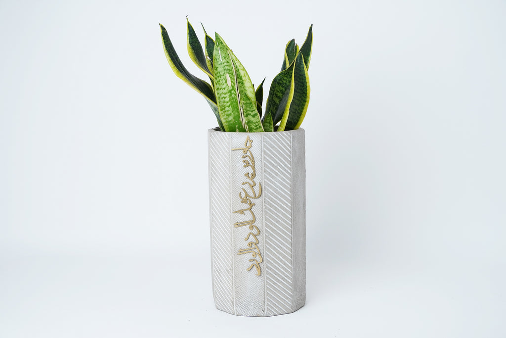 concrete planter جاور من يزرع فيك الود و الورد -long