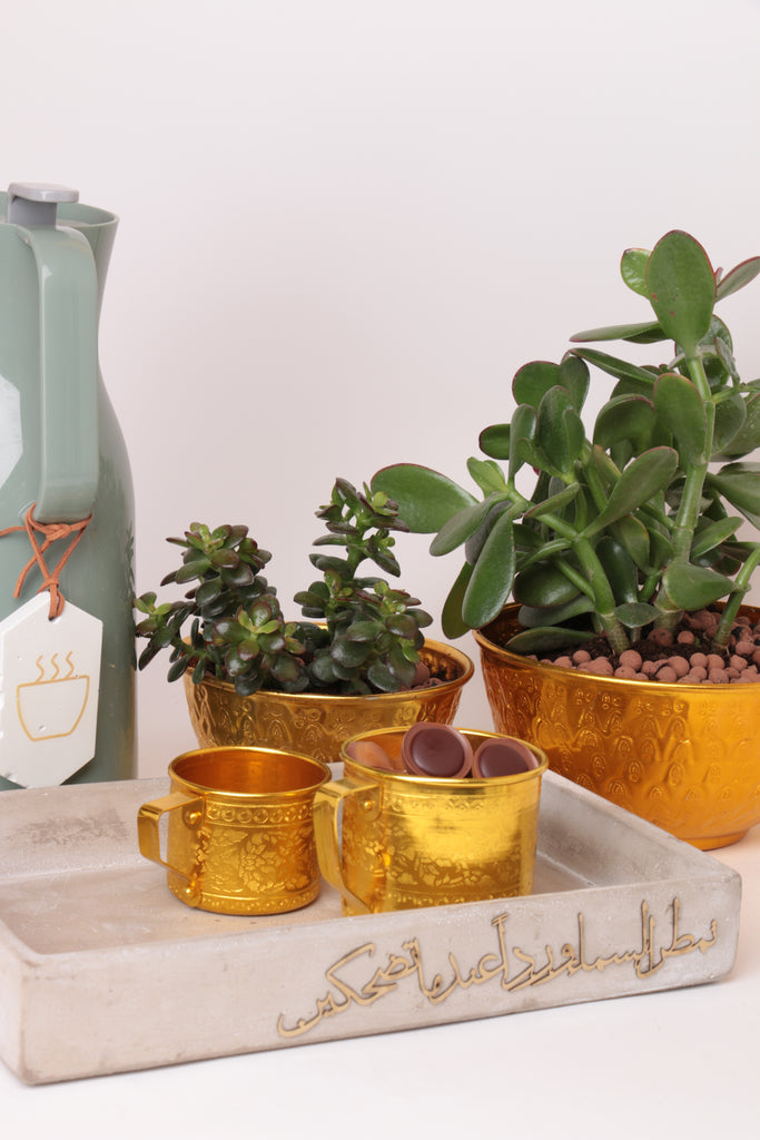 نبته الباديه