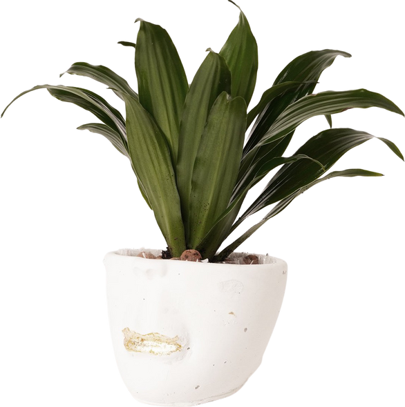 Face  abstract planter | white