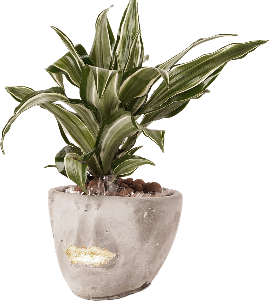 Face  abstract planter | gray