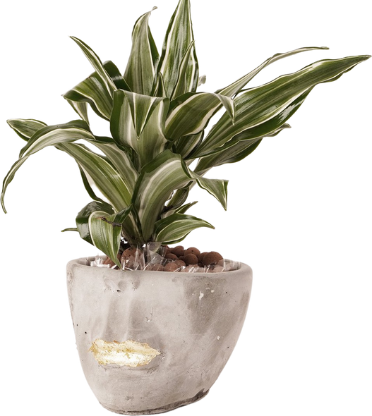 Face  abstract planter | gray