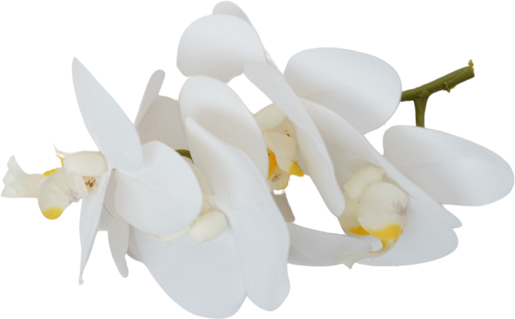 add artificial orchids -  اللون حسب لون القماش