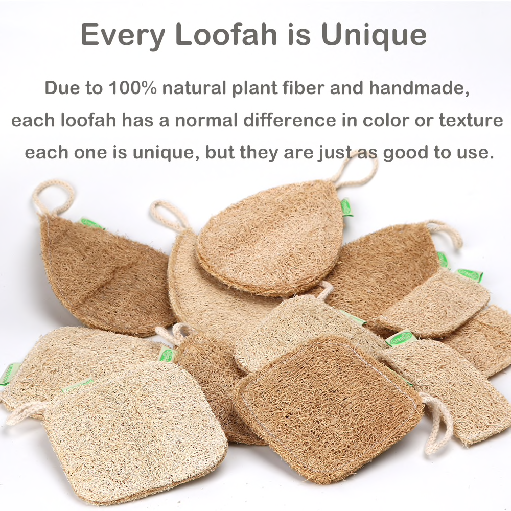 Ecological Reusable Sponge
