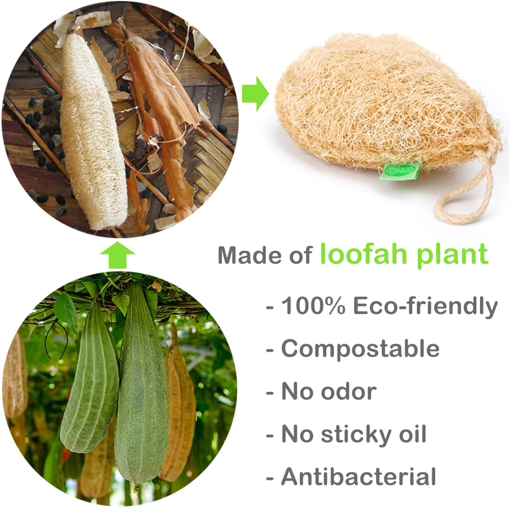 Ecological Reusable Sponge