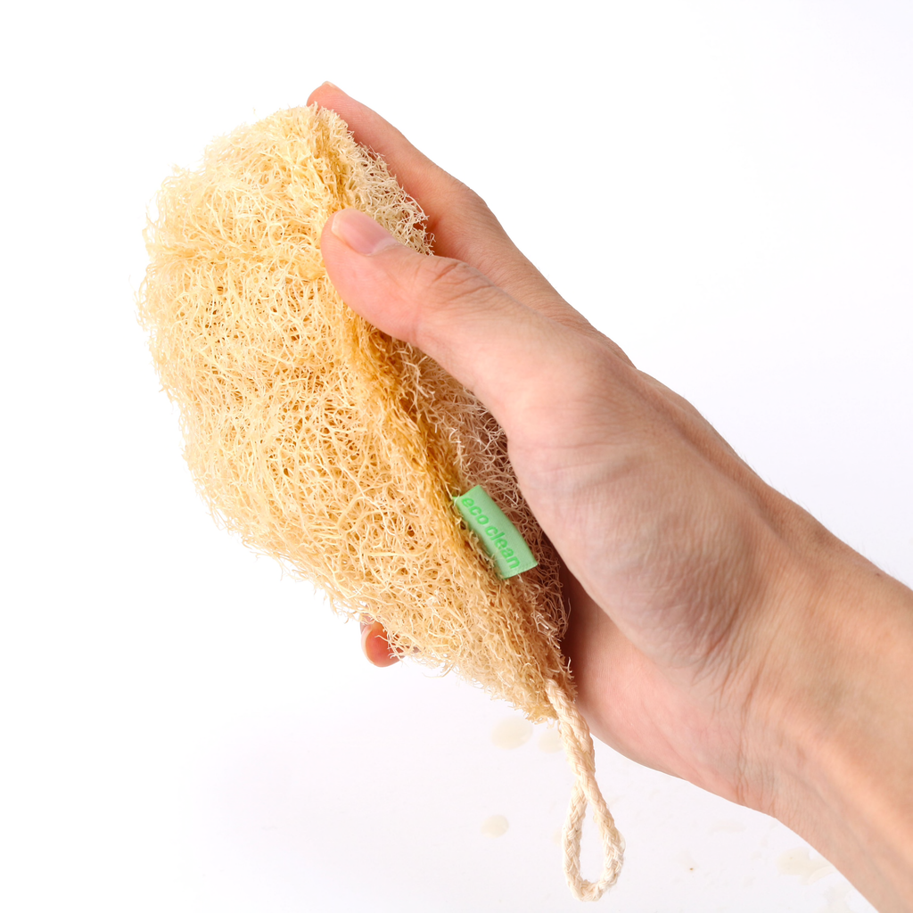Ecological Reusable Sponge