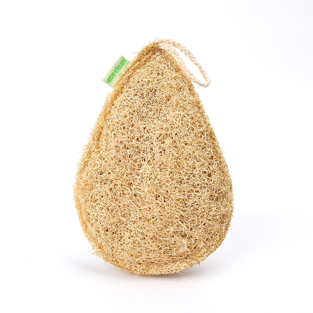 Ecological Reusable Sponge