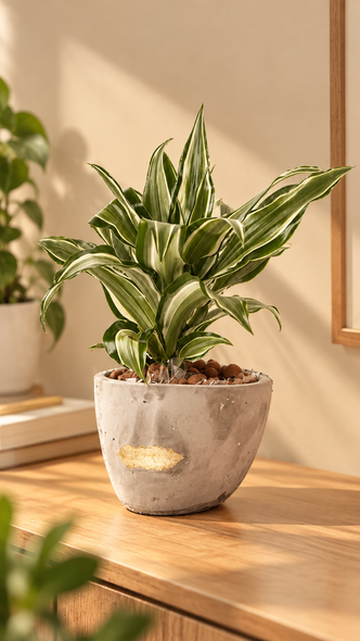 Face  abstract planter | gray