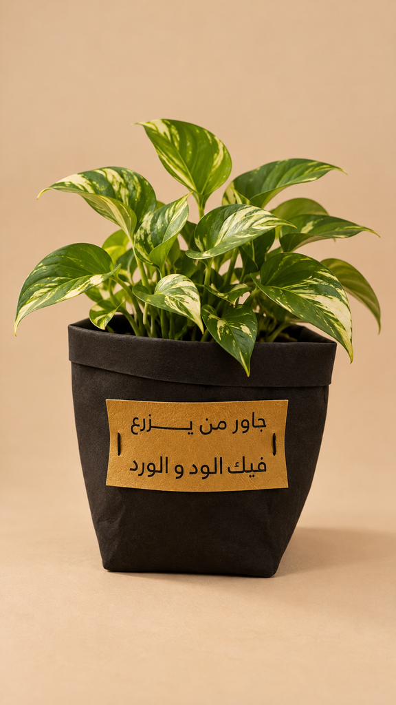 زرعه باصيص  قماشي