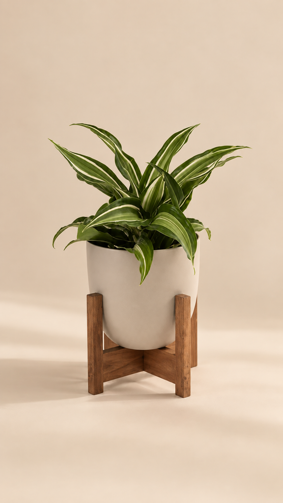 wood base planter
