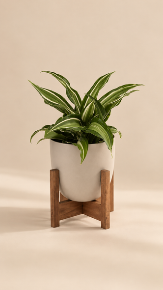 wood base planter