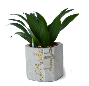 concrete planter تمطر السماء ورداً عندما تضحكين -short