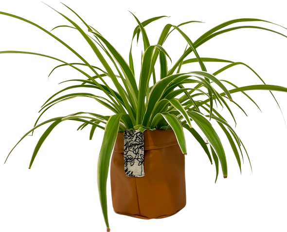 teacher set| plant leather pot