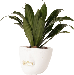 Face  abstract planter | white