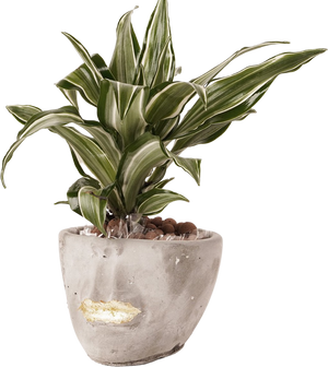 Face  abstract planter | gray