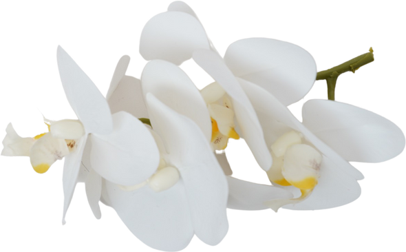 add artificial orchids -  اللون حسب لون القماش